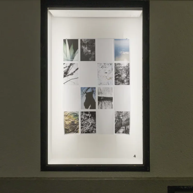 Passage Des 8 - Marlène Grand – So Many Impressions In A Single Day_ibr5900 Passage des 8