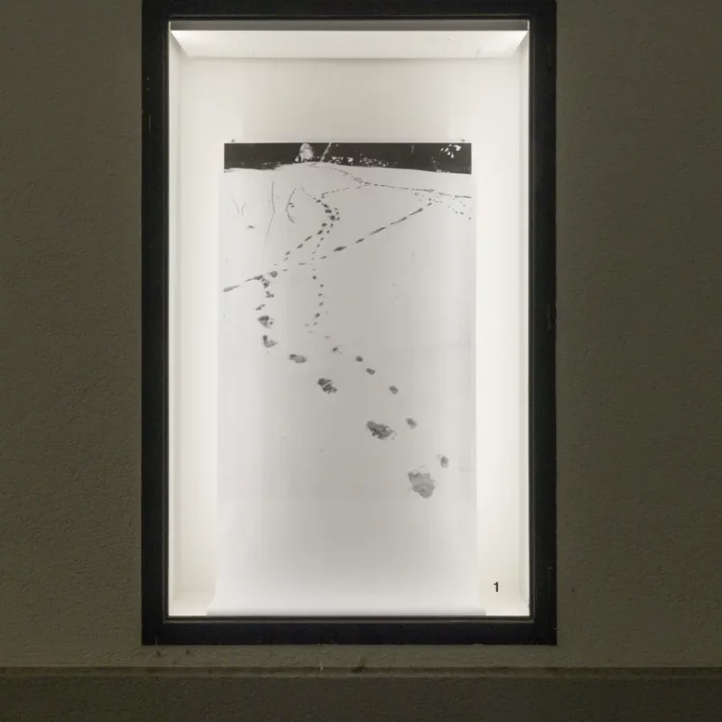 Passage Des 8 - Marlène Grand – So Many Impressions In A Single Day_ibr5903 Passage des 8