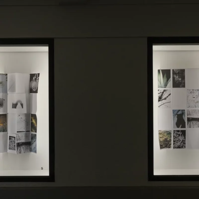 Passage Des 8 - Marlène Grand – So Many Impressions In A Single Day_ibr5917 Passage des 8